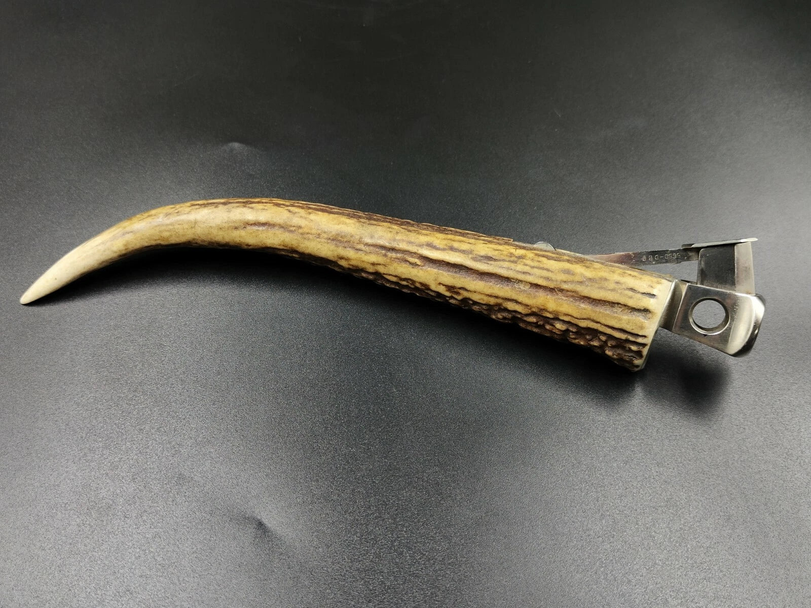 Nice SOLINGEN " Donatus " - Table Cigar Cutter - Horn - 0796CO XL